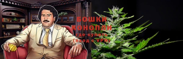 дурь Балахна