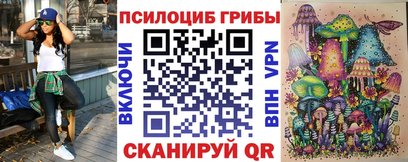 Псилоцибиновые грибы прущие грибы блэк спрут рабочий сайт Выборг
